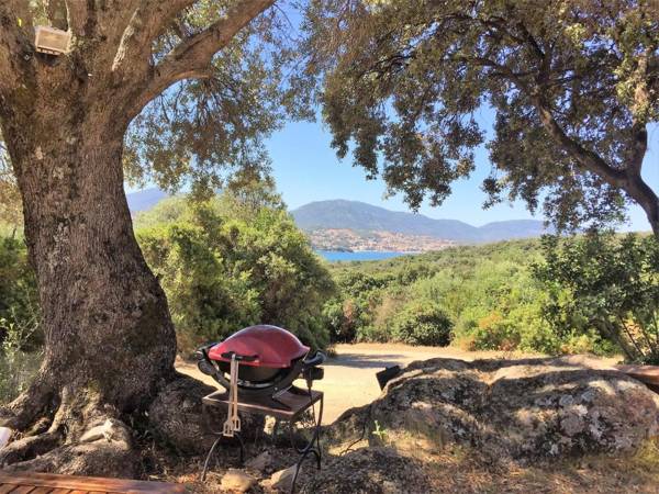 BERGERIE 3 Domaine de l Ogliastru