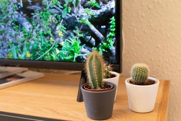 Appartement Privé Climatisé entre Arènes et Maison Carrée