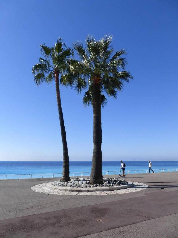 F2 TERRASSE MODERNE HYPER CENTRE CLIM ASCENSEUR