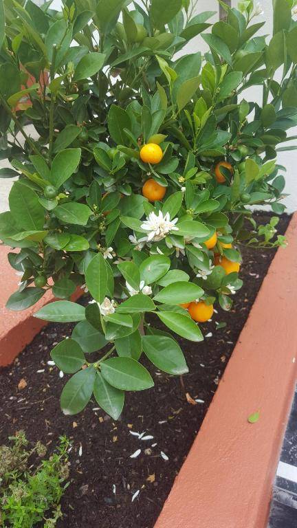 Boutique Hotel Nice Côte d'azur