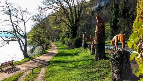 Home Nantua studio meublés Ain-Jura