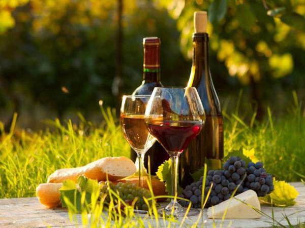 Cosy gite with secluded garden private swimming pool in beautiful surroundings.