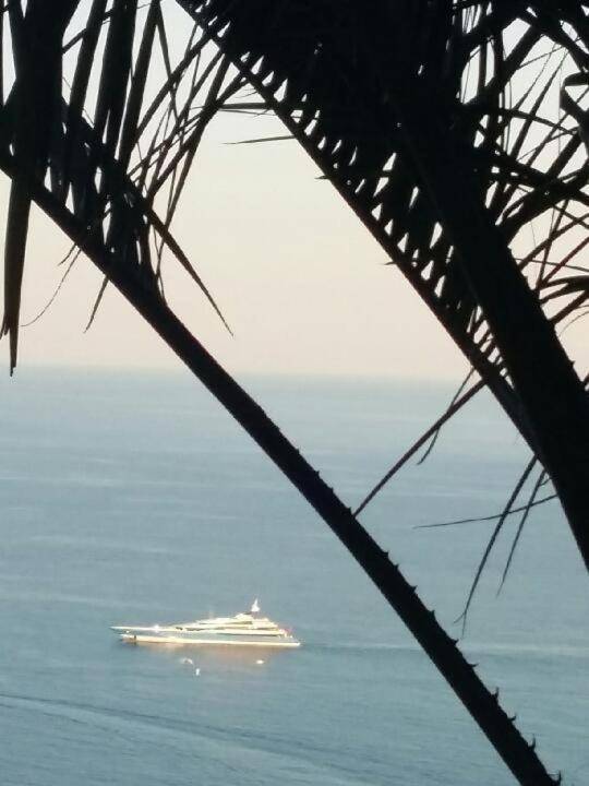 Les Citronniers d'Azur