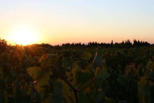 Le Mas de Plein Pagnier