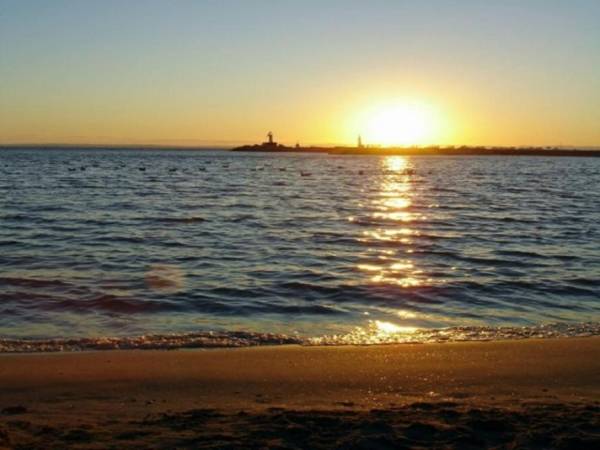 Appartement Marseillan-Plage 2 pièces 4 personnes - FR-1-387-74