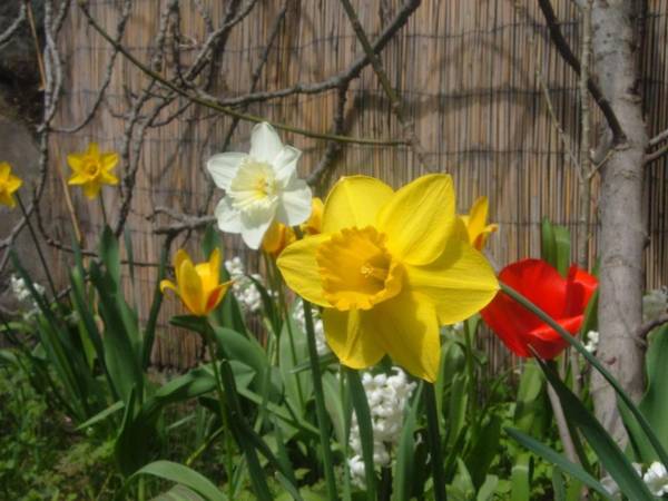 Le Jardin de Cécile et Benoit - Bed and Breakfast