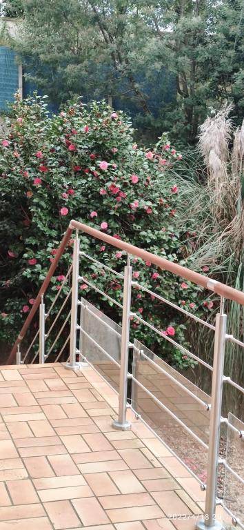 B&B En plein coeur de la foret