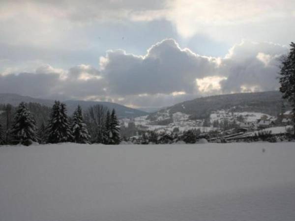 Chalet Le Tholy 4 pièces 6 personnes - FR-1-589-217