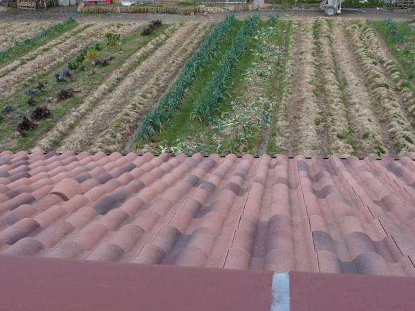 Chambre d'hôte Fleur de Potager