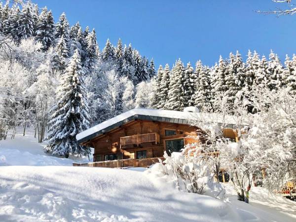 Chalet Mountain Vibes