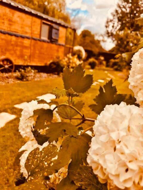 Les Roulottes De La Basse Maunerie