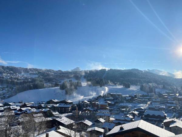 Chalet Les Gets 5 pièces 14 personnes - FR-1-598-41