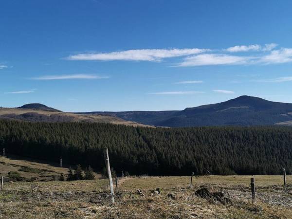 Gîte Les Estables 3 pièces 6 personnes - FR-1-582-148