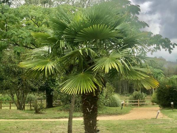 Gîte Le Lude 6 pièces 15 personnes - FR-1-410-307