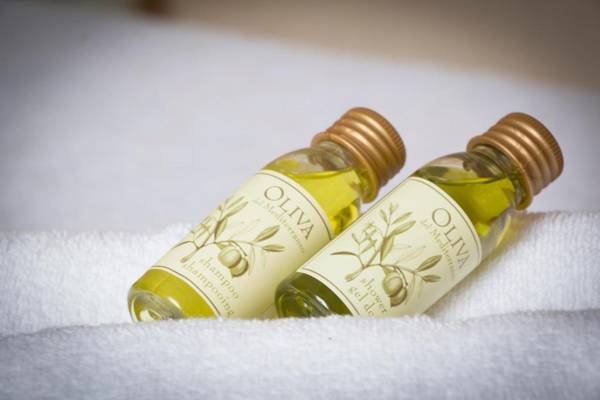 Hotel Les Flots Bleus