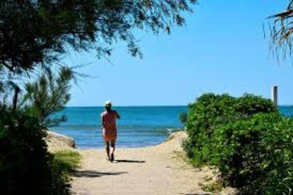 Appartement spacieux au calme et face à la pinède à 2 minutes de la plage