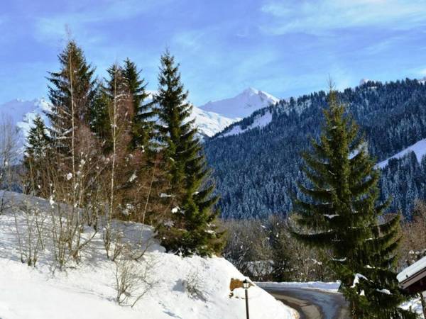 Studio Le Grand-Bornand 1 pièce 4 personnes - FR-1-241-98