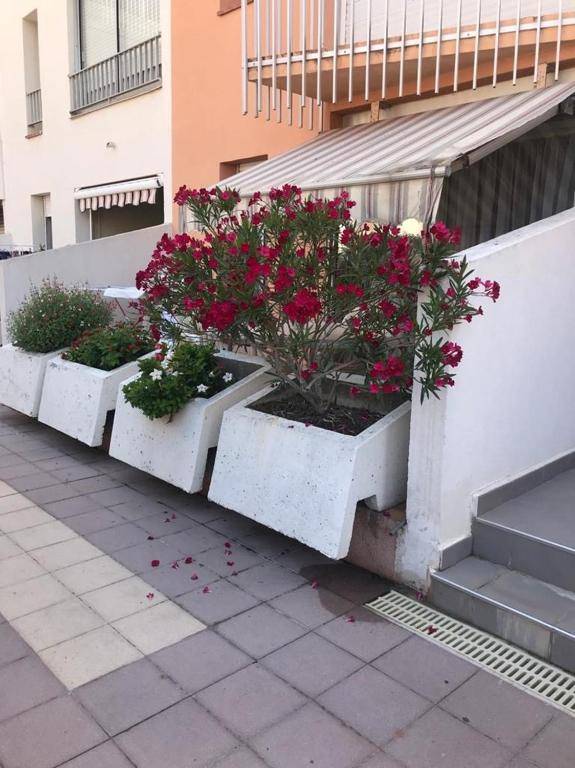 Appartement 2 pieces piscine