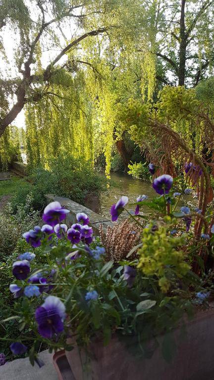 Hôtel-SPA Le Moulin De La Wantzenau - Strasbourg Nord
