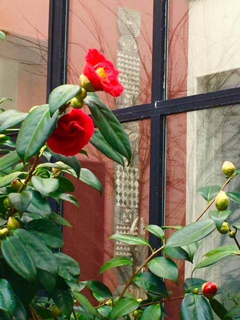 La Maison du Palmier