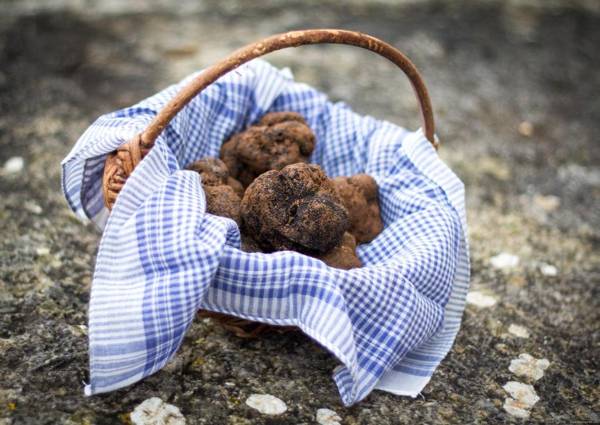 La Vayssade - Gîte de Charme - Jacuzzi Piscine & Truffes
