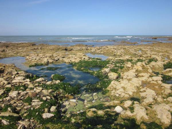 Hôtel Île de Lumière