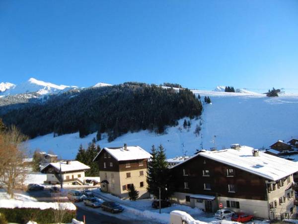 Alcyon A23 - Studio proche pistes