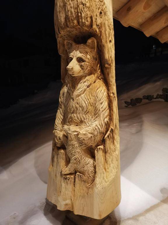 La Tanière des Vosges La Bresse