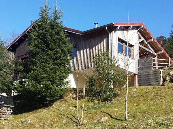 Chalet La Bresse 5 pièces 11 personnes - FR-1-589-86