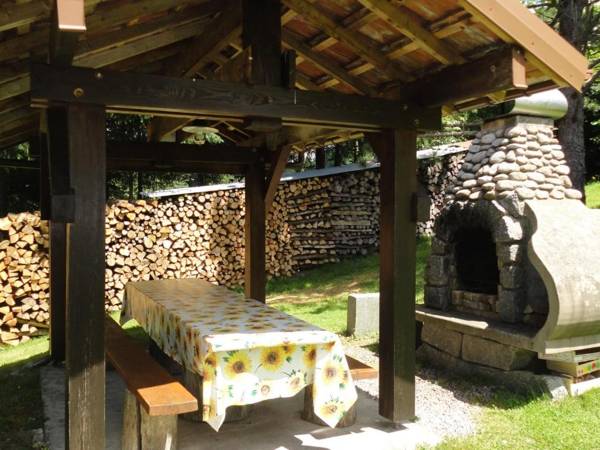 Gîte La Bresse 3 pièces 4 personnes - FR-1-589-127