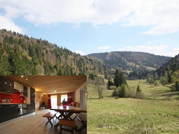 Gîte La Bresse 3 pièces 4 personnes - FR-1-589-264