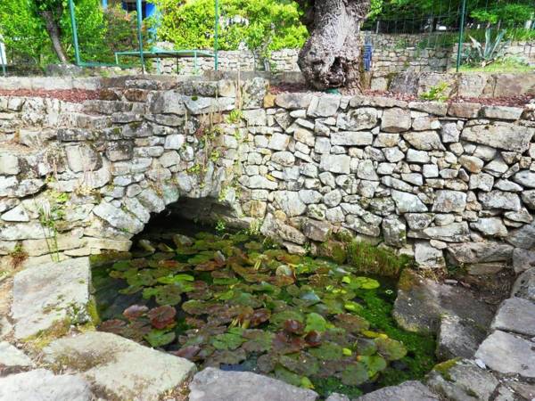 Le Mas de la Grenouillère