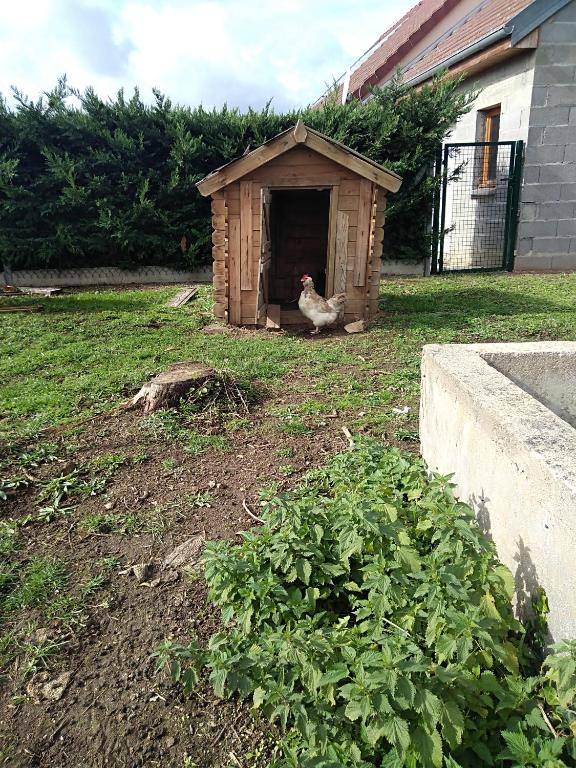 Les Maitres Sonneurs