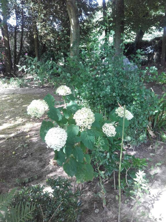 Chambres d'hôtes Manoir du Buquet