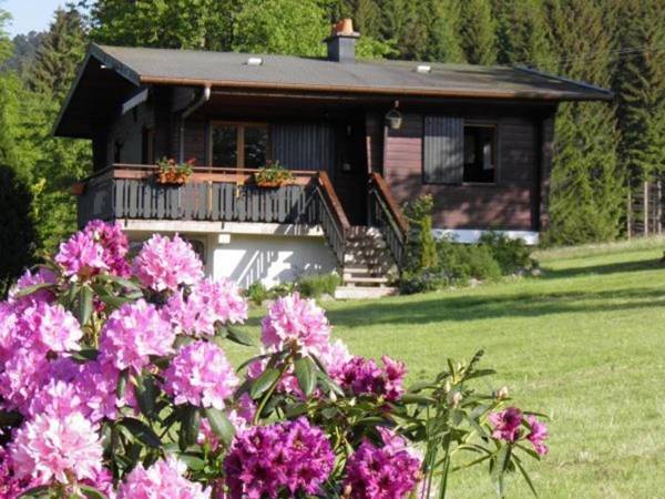 Chalet Ban-sur-Meurthe-Clefcy 3 pièces 4 personnes - FR-1-589-150