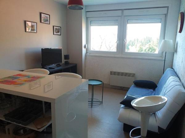 Studio a Gerardmer a 800 m des pistes avec vue sur la ville