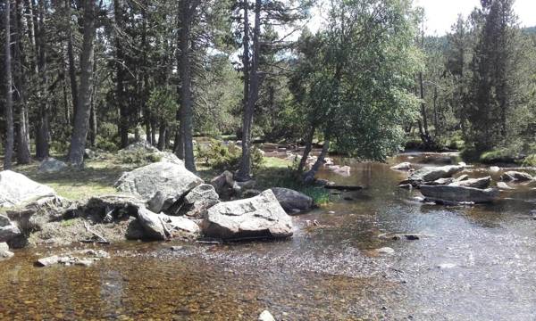 Résidence Le Pic de l'Ours