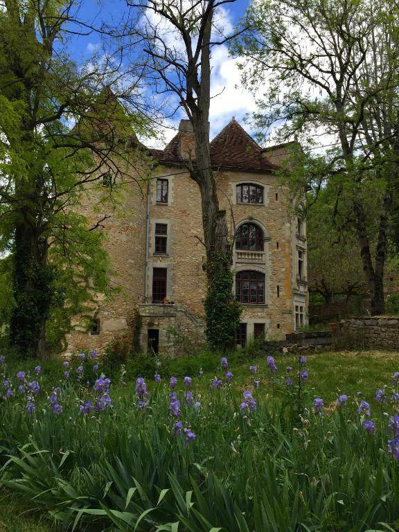 Chateau de Saint Dau