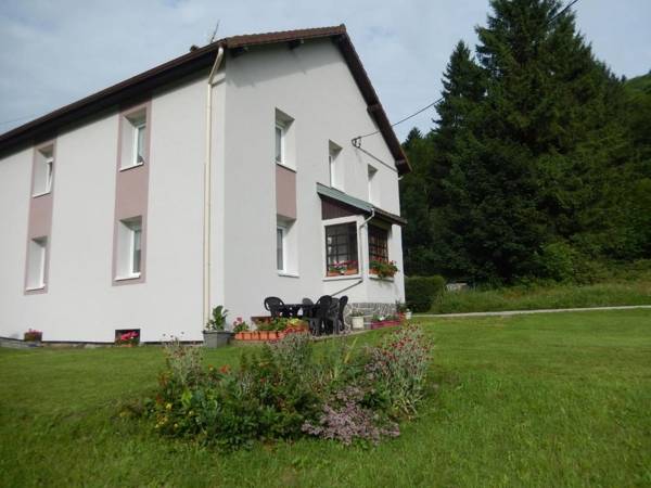 Gîte Cornimont 3 pièces 5 personnes - FR-1-589-70