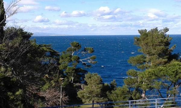 Studio a Collioure a 150 m de la plage avec vue sur la mer et balcon amenage