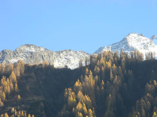 Appartement Cosy Proche Des Grands Montets