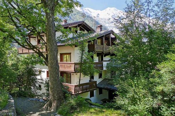Mont Blanc view apt in the heart of Chamonix