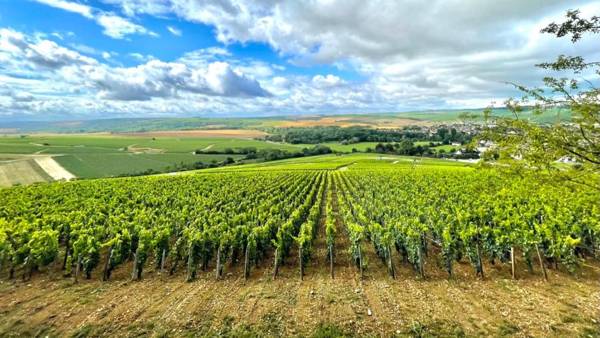 Maison de campagne entre vigne et bois