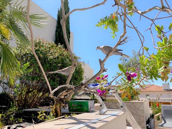 ROOFTOP CROISETTE/ALEXANDRE III