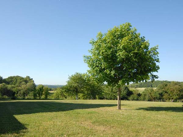Gîte Cangey 3 pièces 5 personnes - FR-1-381-357