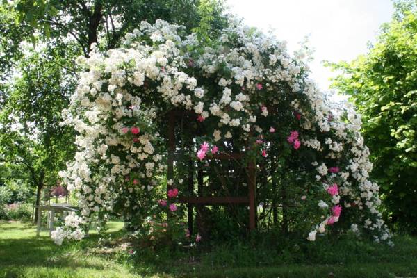 Chambres d'hotes du Jay