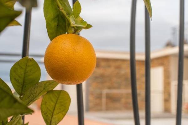 Sure Hotel by Best Western Beziers Le Monestie