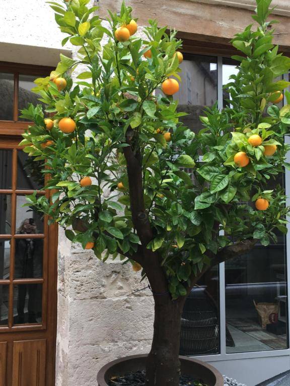 Maison Joséphine avec garage privé