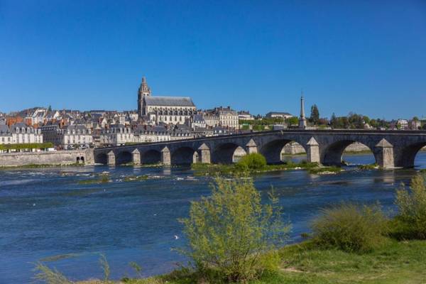 Fleur de Loire