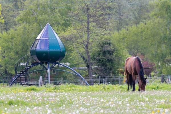 Domaine Du Lieu Dieu